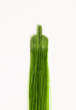 Load image into Gallery viewer, 18" Flat-Tip Pro Straight - Green
